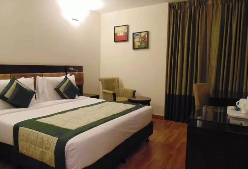 Fotos del hotel Tavisha:  7