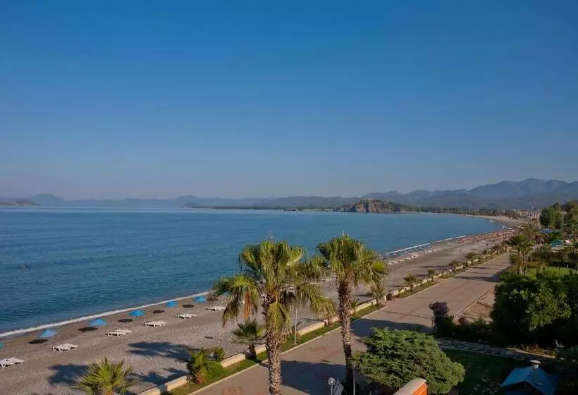 Fotos del hotel Yasemin:  21