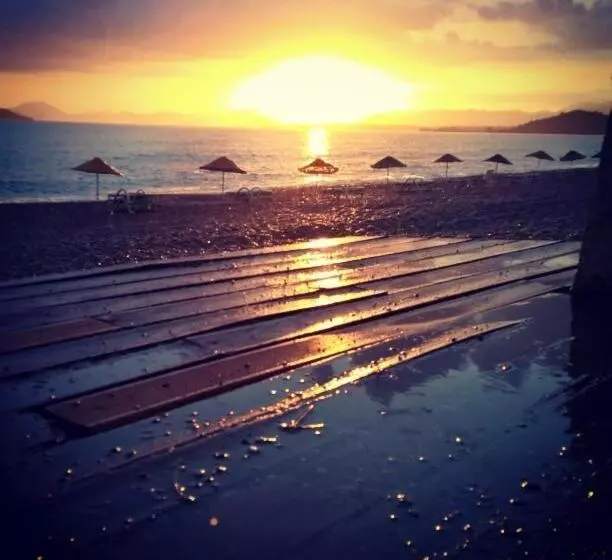 Fotos del hotel Yasemin:  23