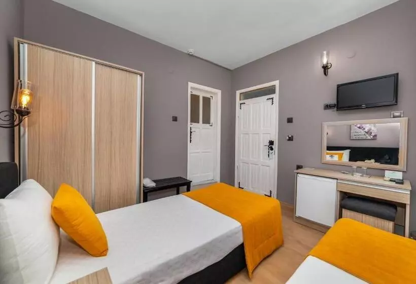 Fotos del hotel Yasemin:  9