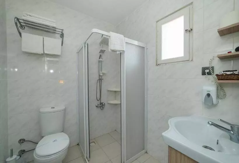 Fotos del hotel Yasemin:  6