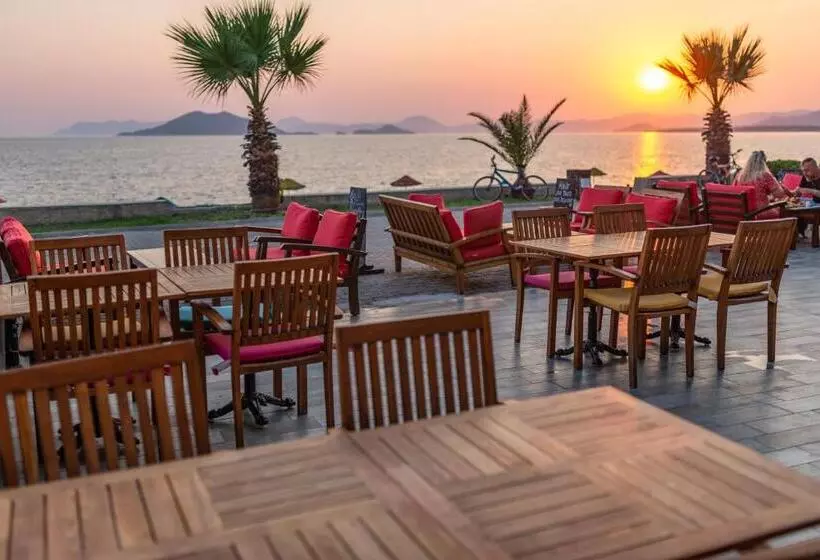 Fotos del hotel Yasemin:  5