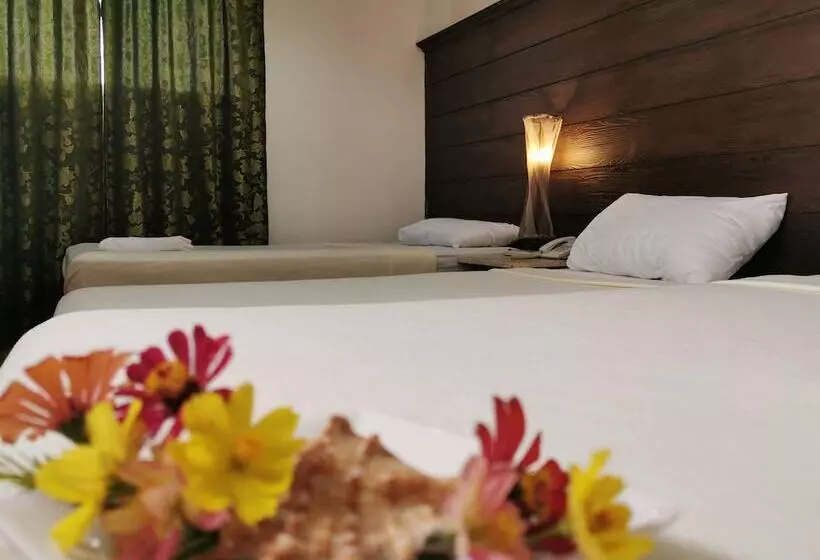 Fotos del hotel Cebu Hilltop:  13