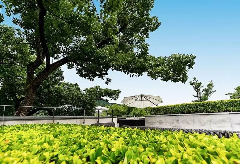 Fotos del hotel Pins De La Brume:  18