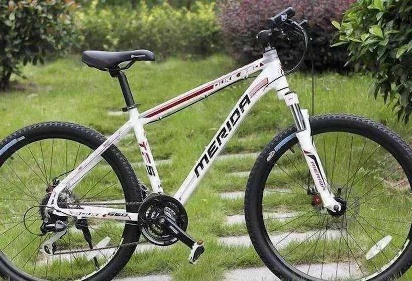 Fotos del hotel Pins De La Brume:  8