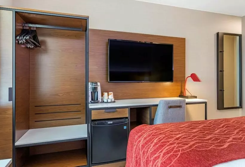 Fotos del hotel Comfort Inn Jfk Airport:  8
