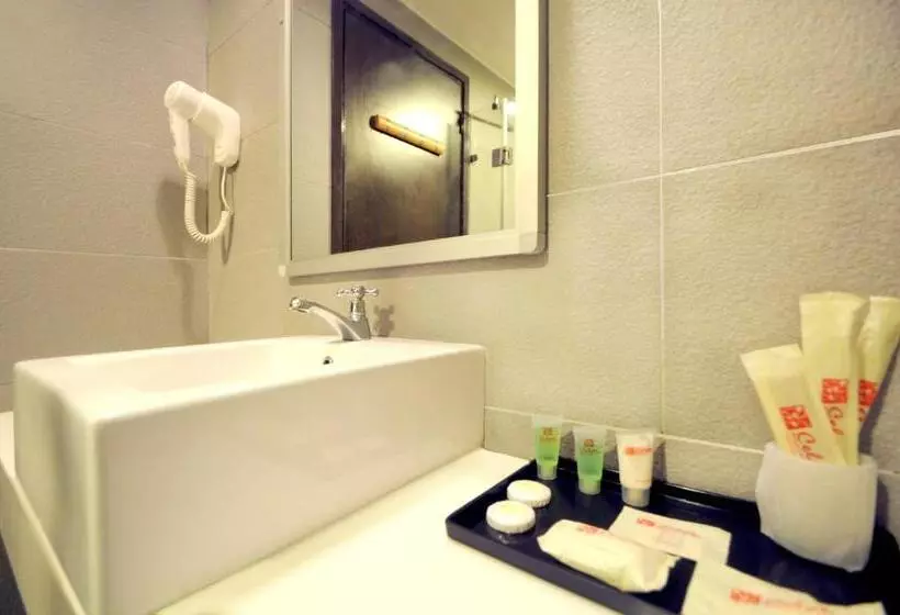 Fotos del hotel Celyn City Hotel:  5