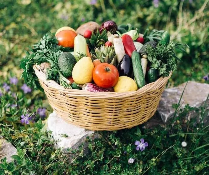 Fotos del hotel Delina Mountain Resort:  24