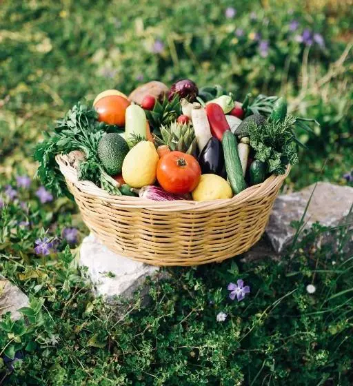 Fotos del hotel Delina Mountain Resort:  25