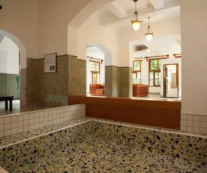 Fotos del hotel Grand View Resort Beitou:  7