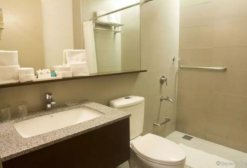 Fotos del hotel Microtel By Wyndham Acropolis:  11