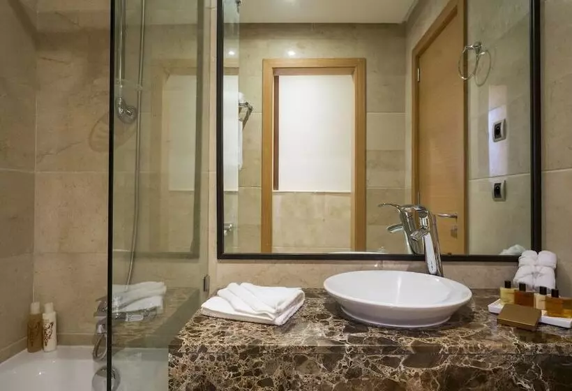 Fotos del hotel Le Vizir Center Parc & Resort:  6