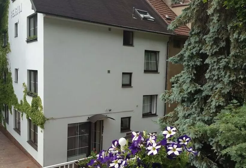 Fotos del hotel Pension Kern:  6