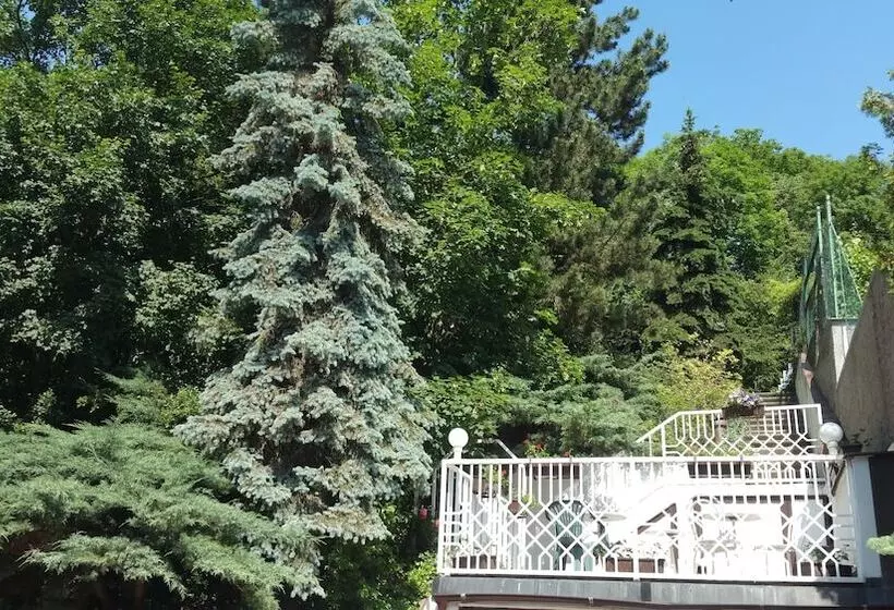 Fotos del hotel Pension Kern:  13