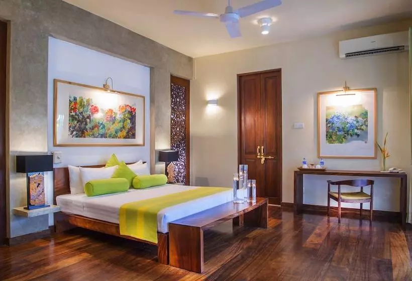 Fotos del hotel Zylan Luxury Villa:  10