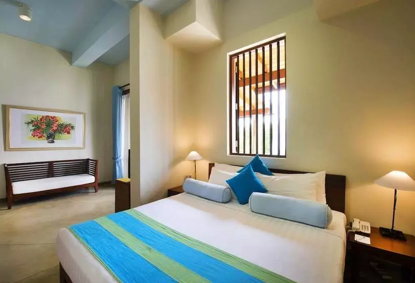 Fotos del hotel Zylan Luxury Villa:  15