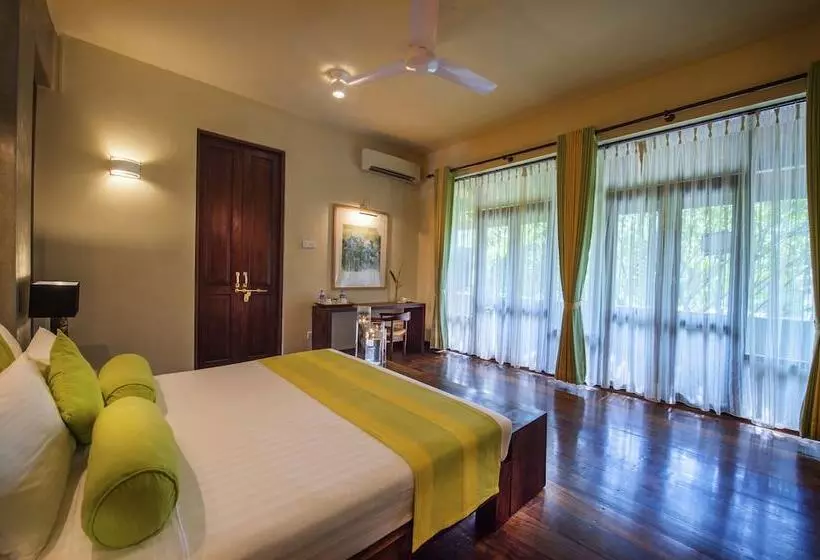 Fotos del hotel Zylan Luxury Villa:  16