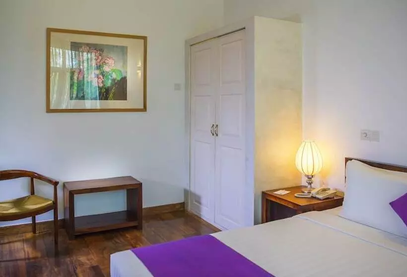 Fotos del hotel Zylan Luxury Villa:  17