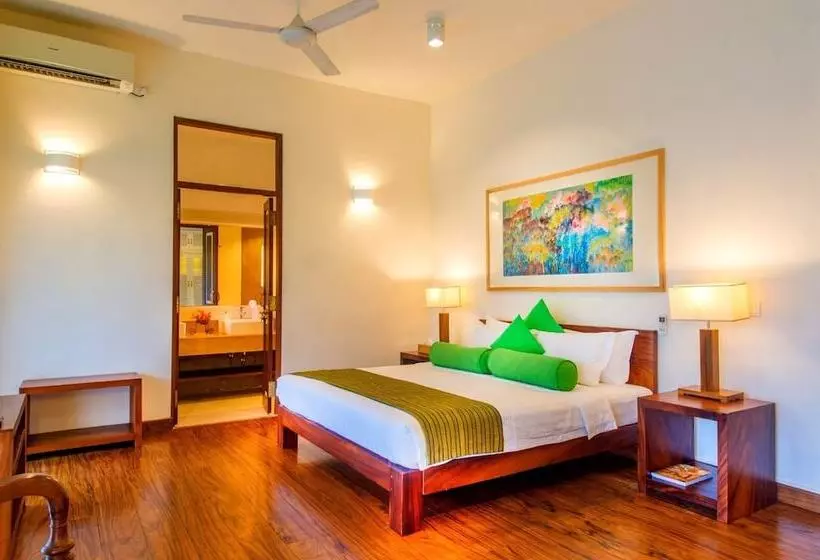 Fotos del hotel Zylan Luxury Villa:  20