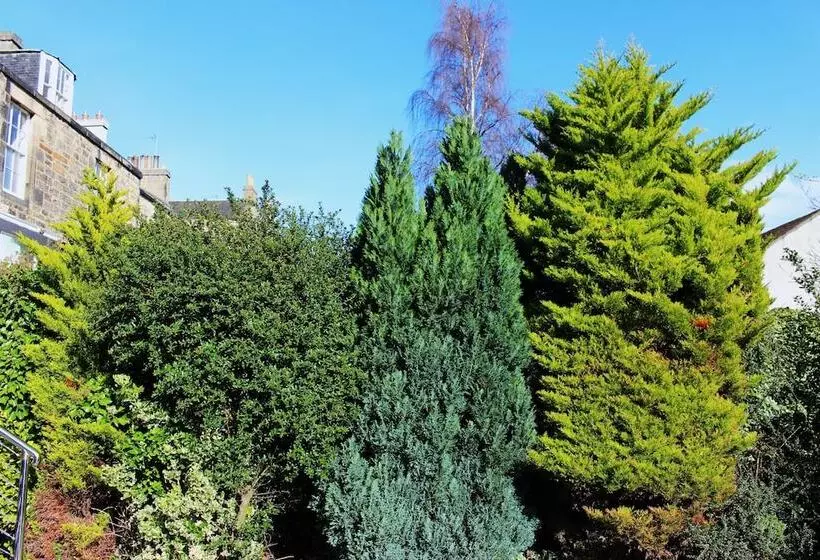 Fotos del hotel Culane House Hotel  B&b:  15