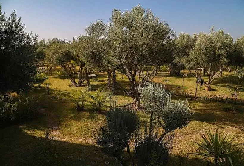 Fotos del hotel Le Clos Des Oliviers By Kmv:  8