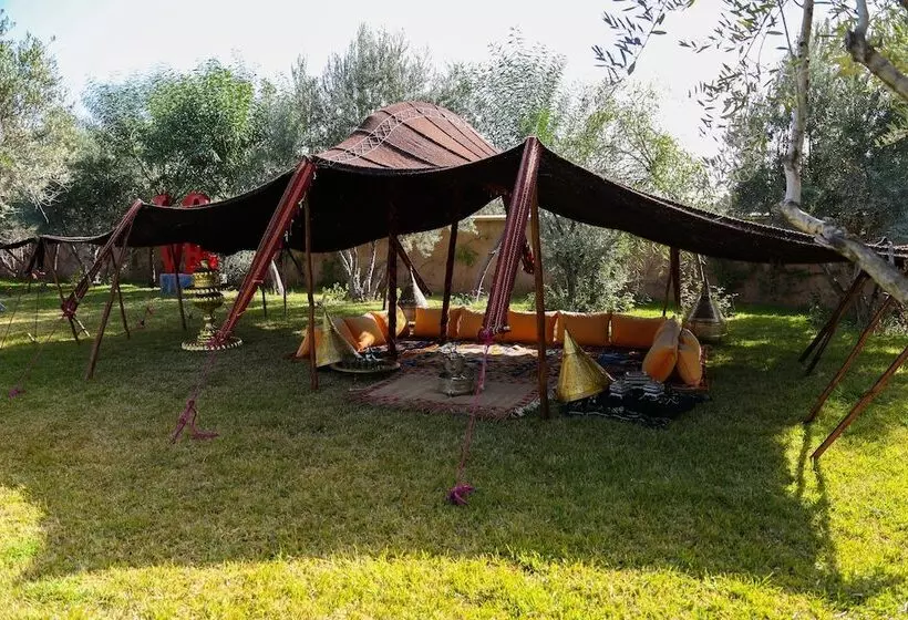 Fotos del hotel Le Clos Des Oliviers By Kmv:  5