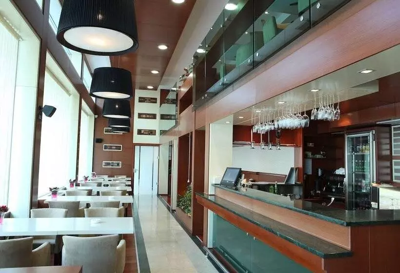 Fotos del hotel Garni Hotel Aleksandar:  13