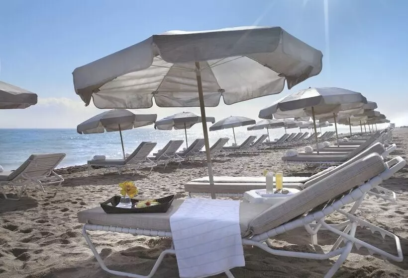 Fotos del hotel Grand Beach Hotel Surfside:  22