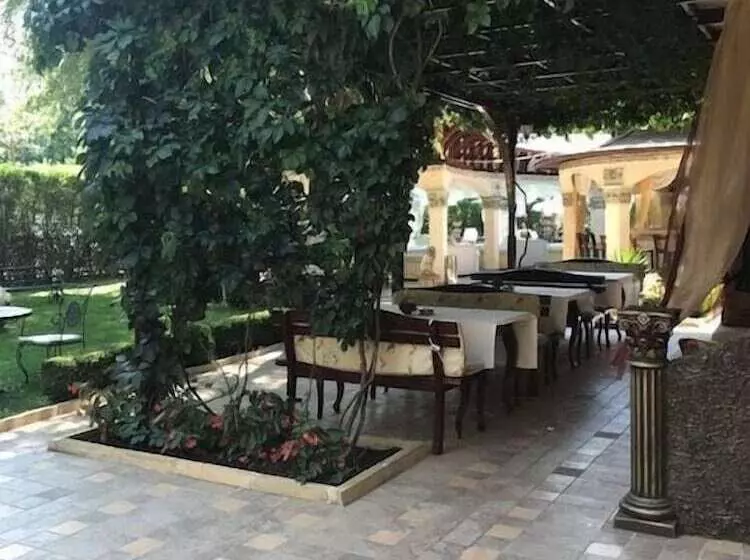 Fotos del hotel Gold Pearl:  25