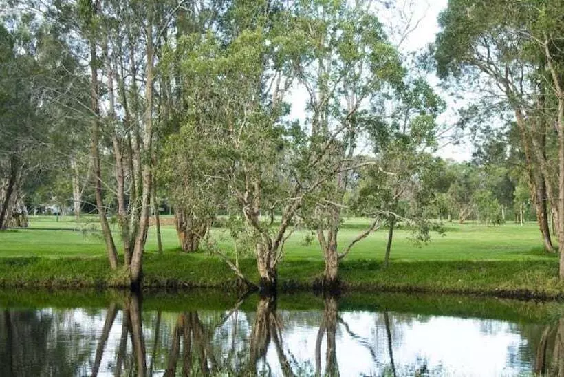 Fotos del hotel Discovery Parks - Byron Bay:  21