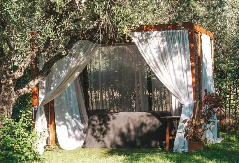 Fotos del hotel Castelli Adults Only:  21