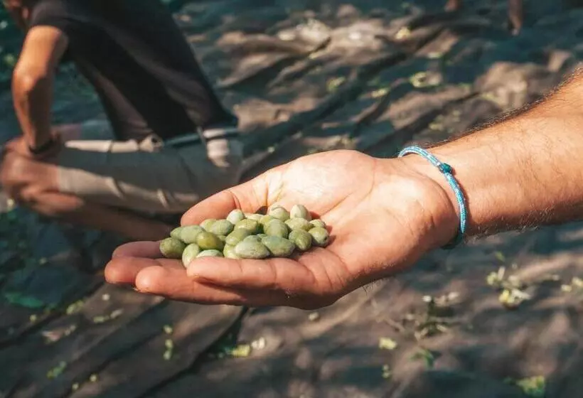 Fotos del hotel Castelli Adults Only:  23