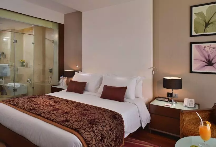 Holiday Inn Chandigarh Panchkula, An Ihg