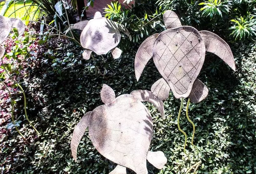 Fotos del hotel Pousada Aguas Claras:  11