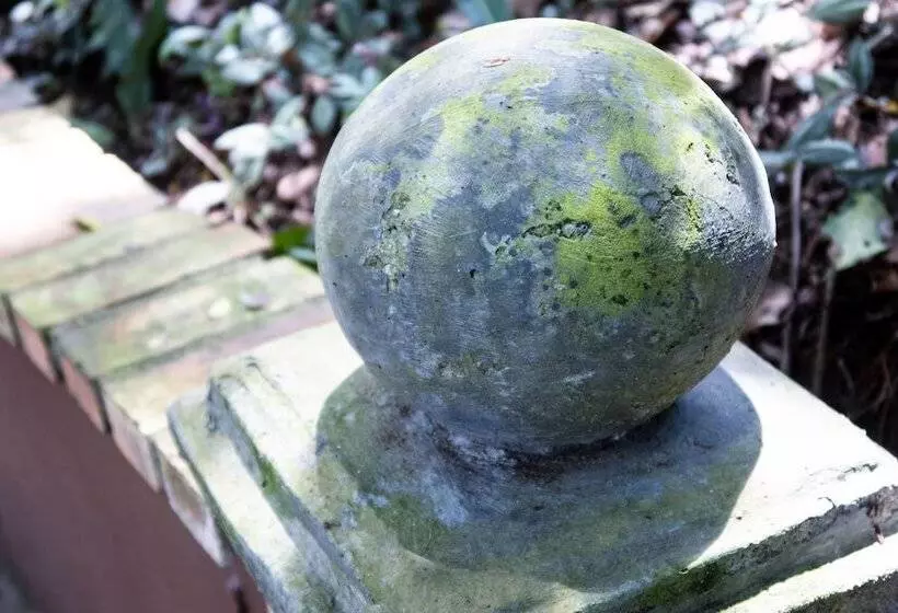 Fotos del hotel Pousada Aguas Claras:  7