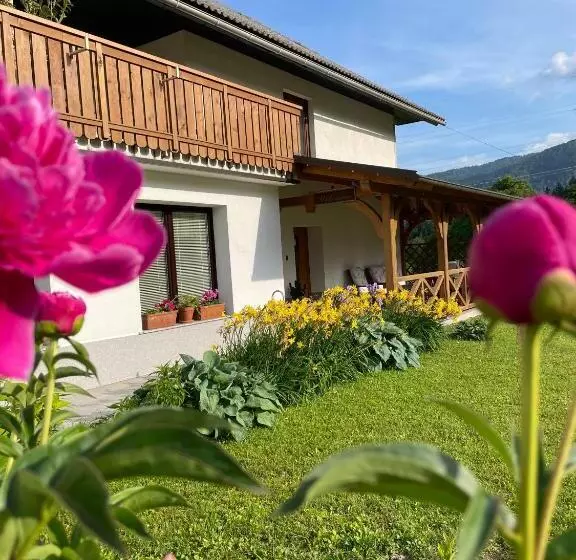 Fotos del hotel Apartments-rooms Kocijancic:  15