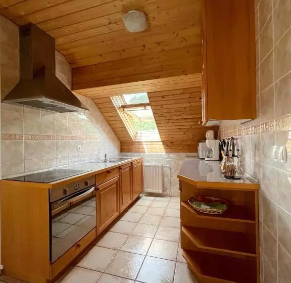 Fotos del hotel Apartments-rooms Kocijancic:  3