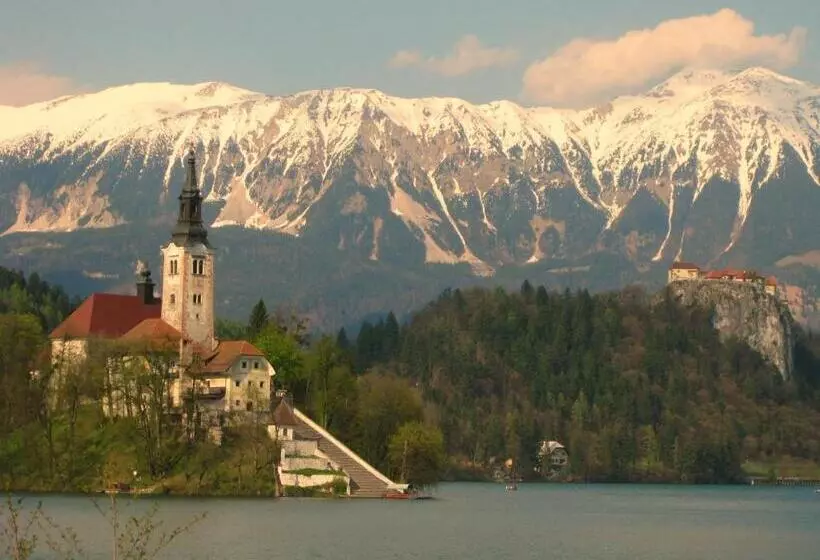 Fotos del hotel Apartments-rooms Kocijancic:  5