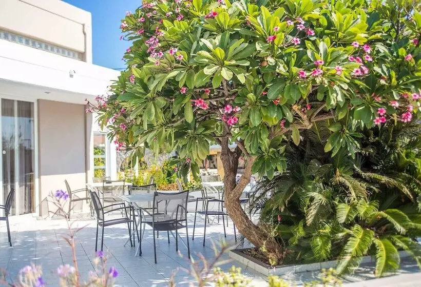 Fotos del hotel Irinna:  11