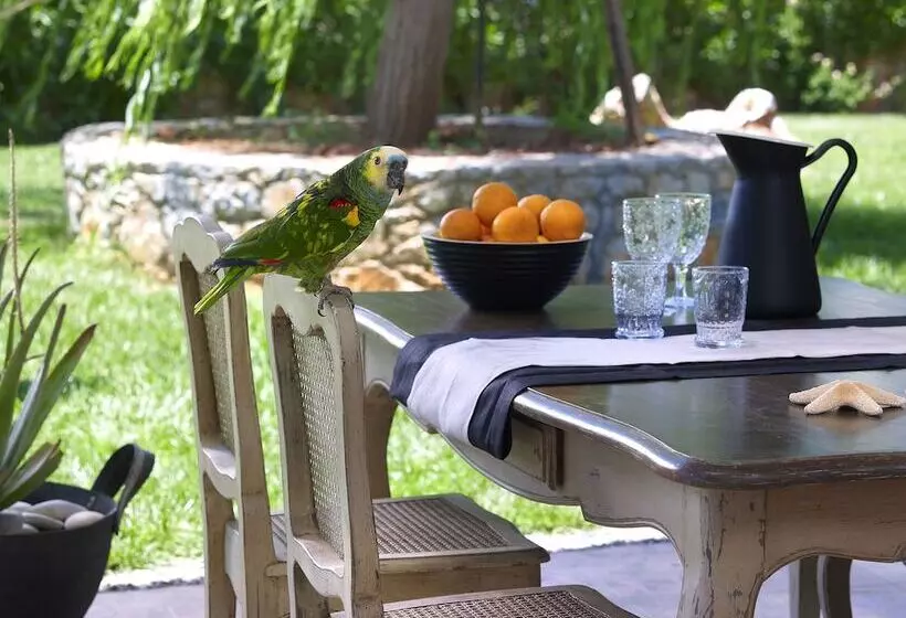 Fotos del hotel Sunvillage Boutique:  11