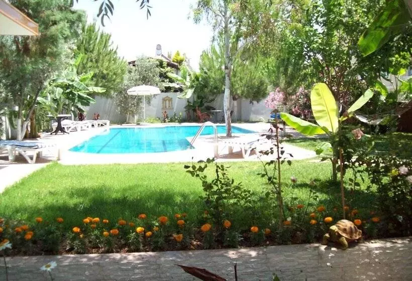 Fotos del hotel Vanilla:  8