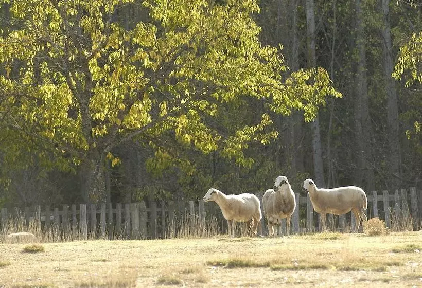 Fotos del hotel A. Montesinho Turismo:  4