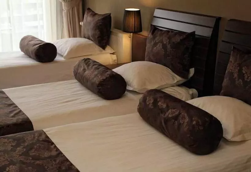 Fotos del hotel Belvedere:  21