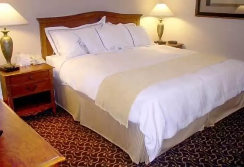 Fotos del hotel Gulnar:  10