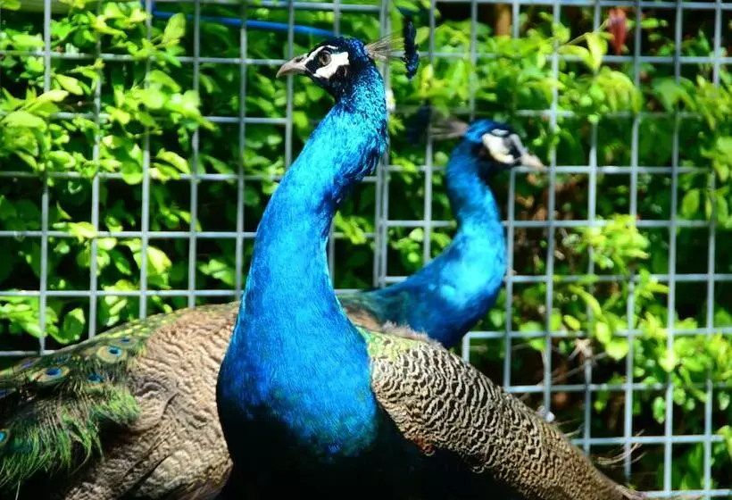 Fotos del hotel Sheraton Sanya Haitang Bay Resort:  13