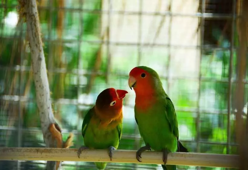 Fotos del hotel Sheraton Sanya Haitang Bay Resort:  7