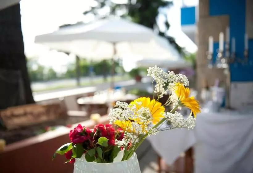 Fotos del hotel Silvana:  4