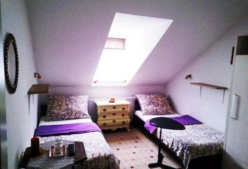 Fotos del hotel Buda Panzió:  16
