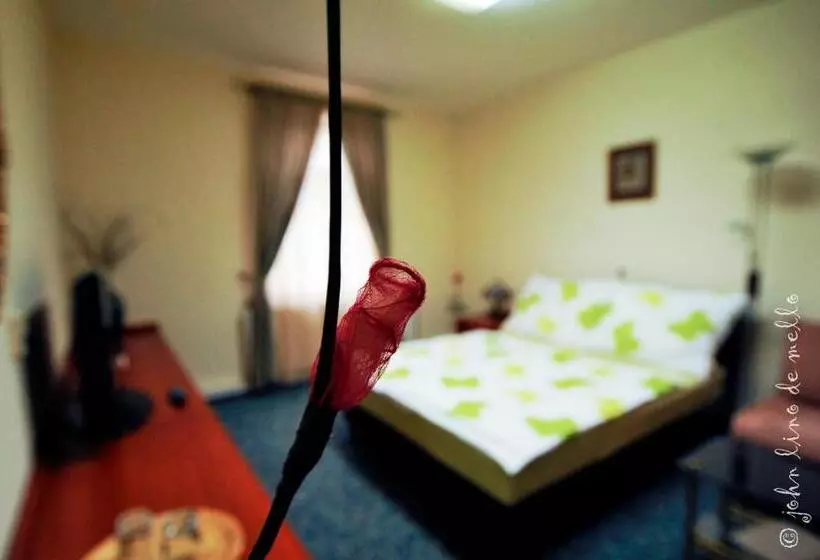 Fotos del hotel Buda Panzió:  15
