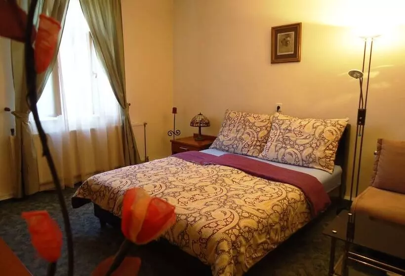 Fotos del hotel Buda Panzió:  12